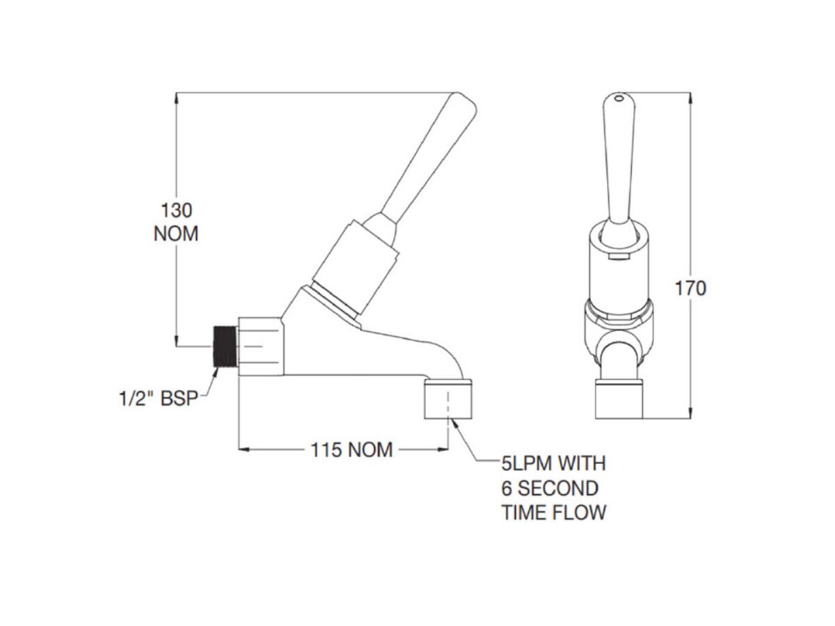 Reece Britex Wall Mount Timed Flow Bib Tap Top Lever