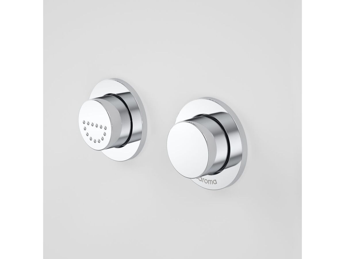reece Caroma Invisi II Care Rnd Dual Flush Button Chrome reece Caroma Invisi II Care Rnd Dual Flush Button Chrome