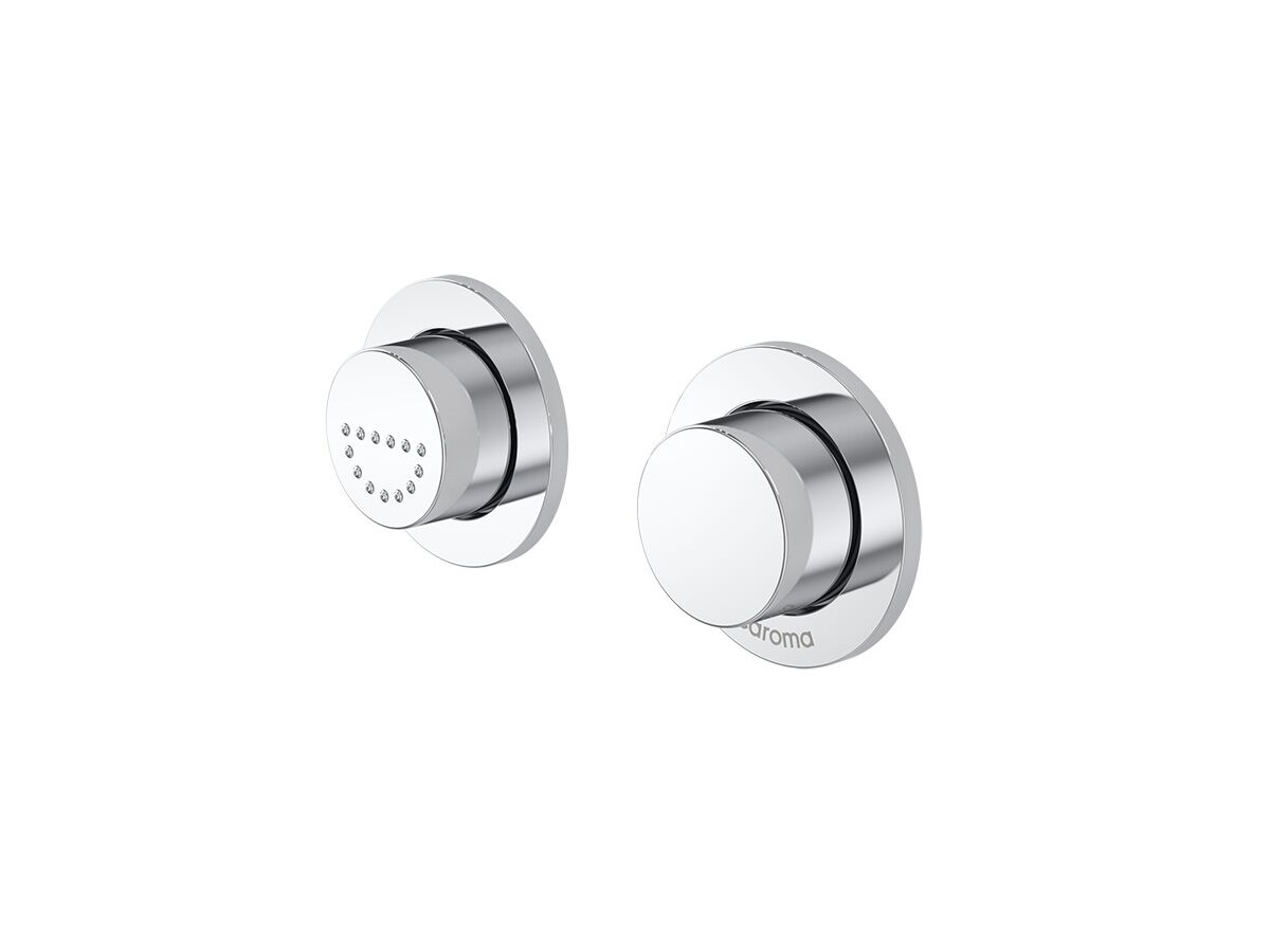 Reece Caroma Invisi II Care Rnd Dual Flush Button Satin