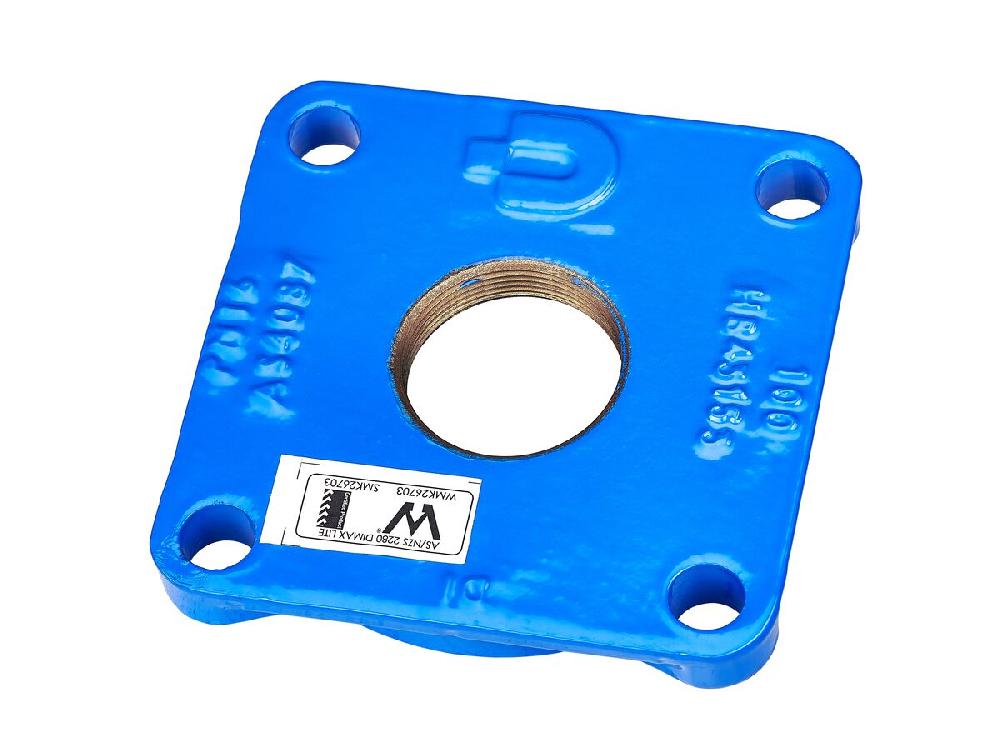 reece Dimax Ductile Iron Blank Flange PN16 B5 DN100 Tapped Central 50mm (2") BSPF