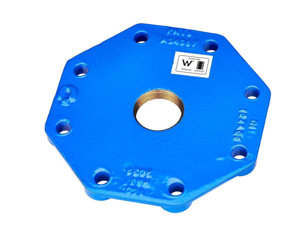 reece Dimax Ductile Iron Blank Flange PN16 B5 DN150 Tapped Central 50mm (2") BSPF