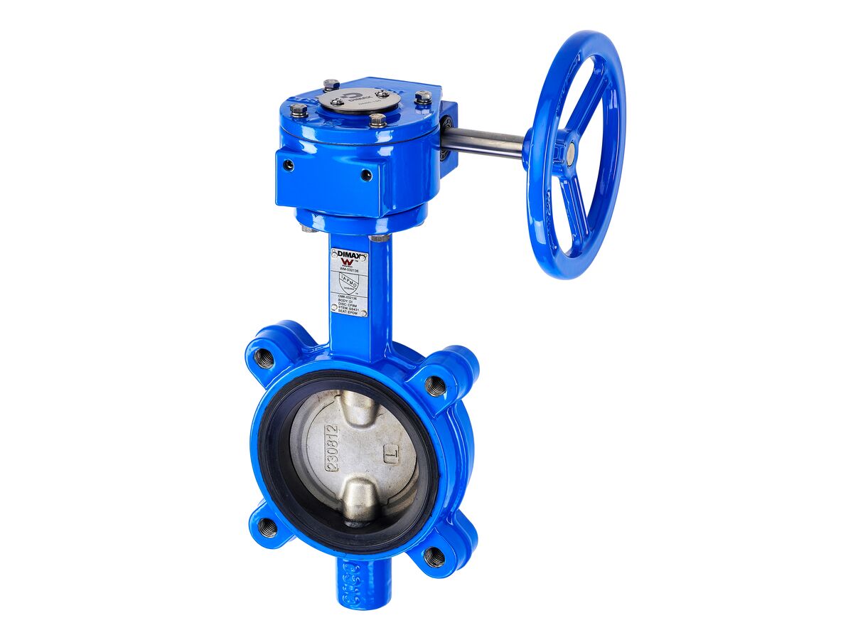 reece Dimax Gear Operated Butterfly Valve Lugged Table D DN100