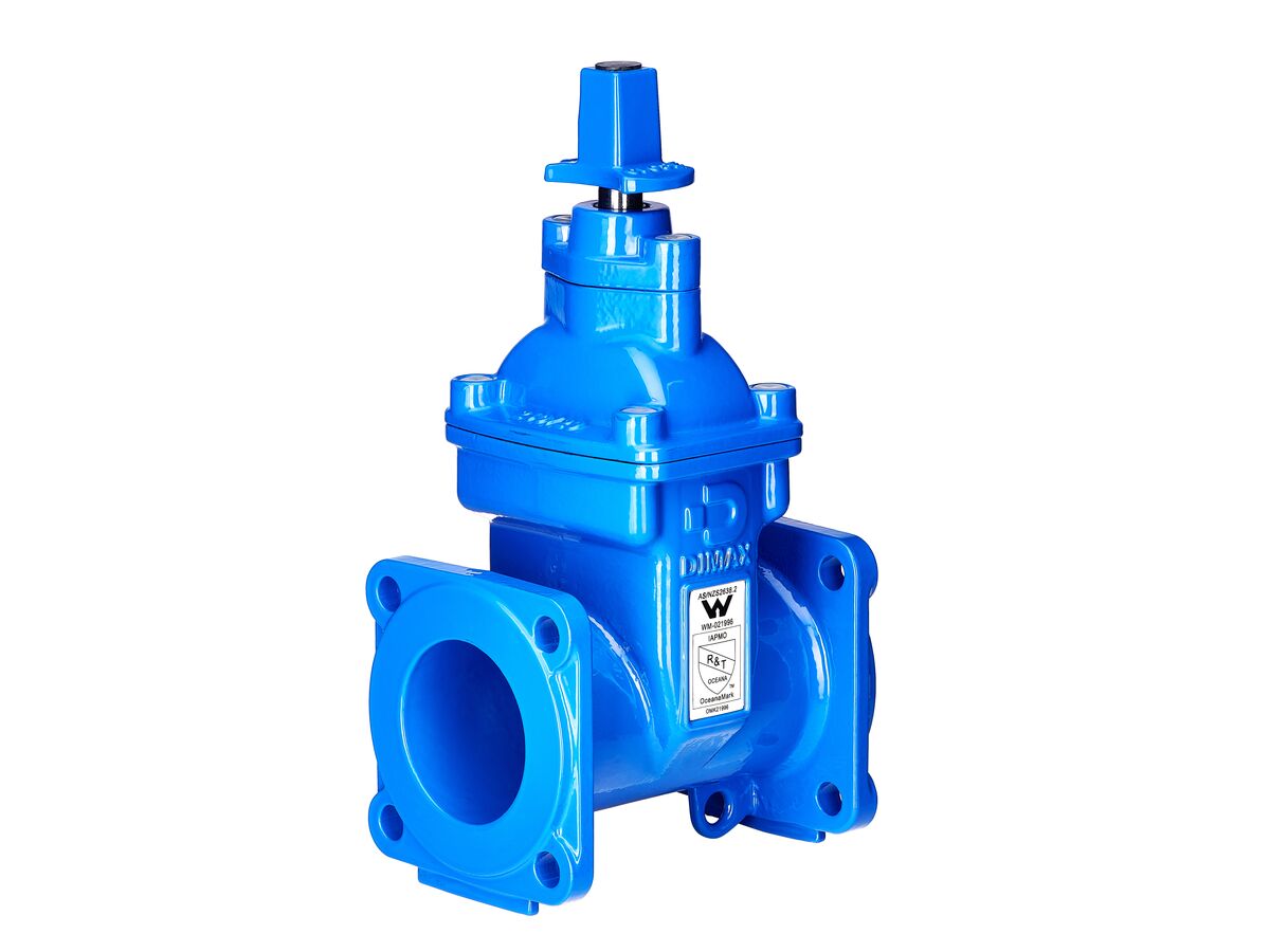 reece Dimax Resilient Seat Gate Valve (Flange x Flange) PN16 B5 100mm Anticlockwise Close