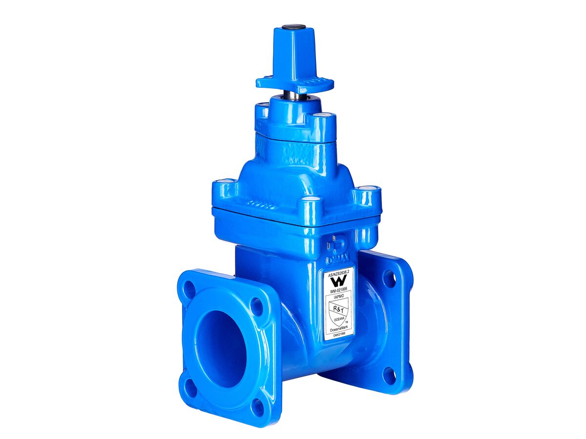 reece Dimax Resilient Seat Gate Valve (Flange x Flange) PN16 B5 80mm Anticlockwise Close
