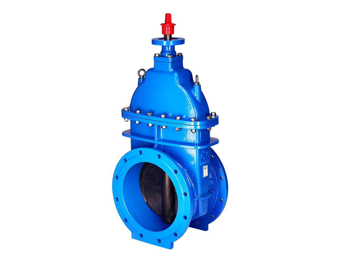 reece Dimax Resilient Seat Gate Valve (Flange x Flange) PN16 B5 450mm Anticlockwise Close