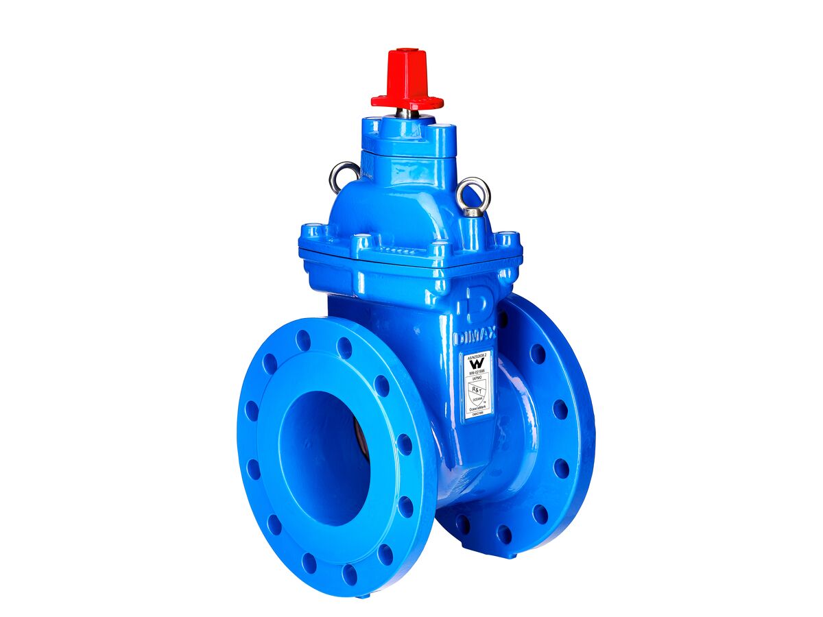 reece Dimax Resilient Seat Gate Valve (Flange x Flange) PN25 B6 150mm Clockwise Close