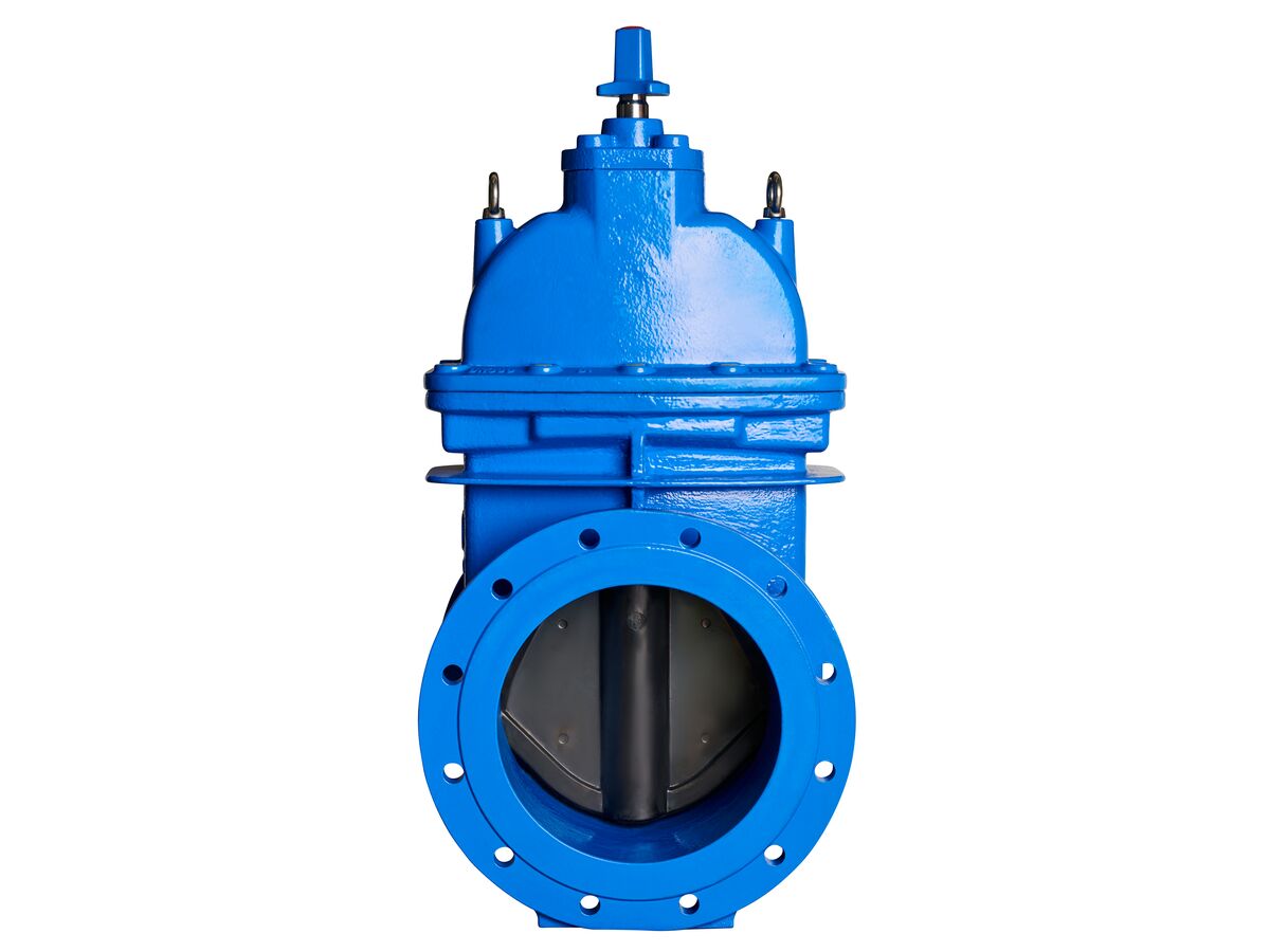 Reece Dimax Resilient Seat Gate Valve (Flange X Flange) PN16 B5 300mm Clockwise Close