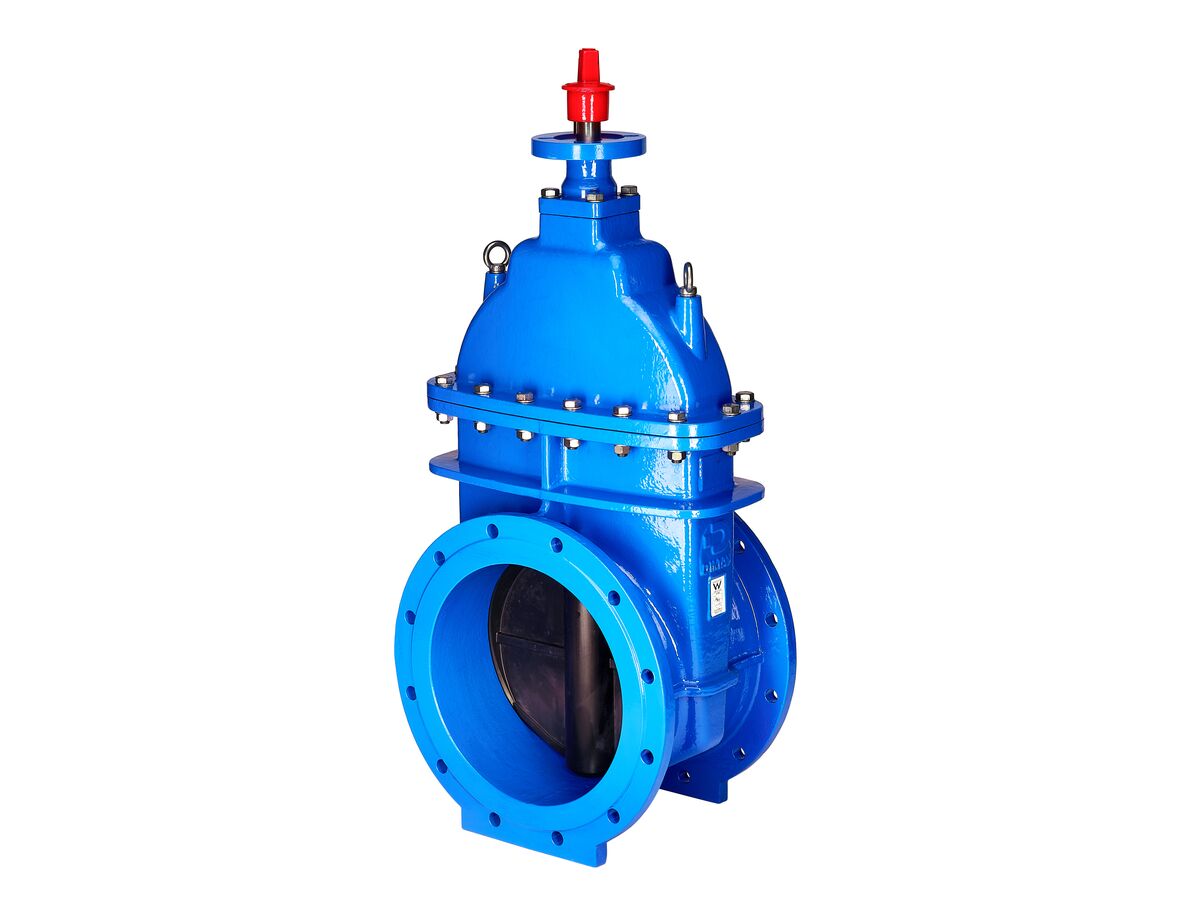 reece Dimax Resilient Seat Gate Valve (Flange x Flange) PN16 B5 450mm Clockwise Close