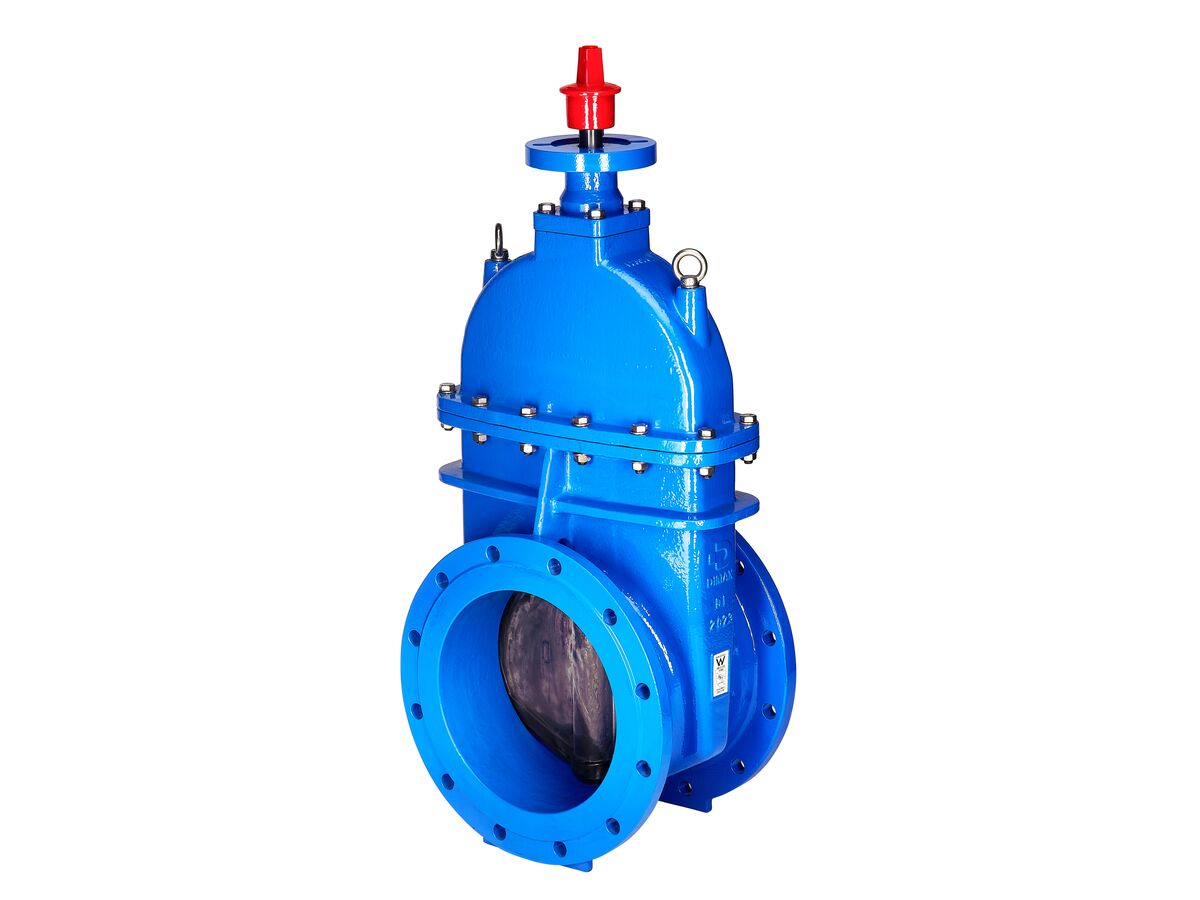 reece Dimax Resilient Seat Gate Valve (Flange x Flange) PN16 B5 375mm Clockwise Close