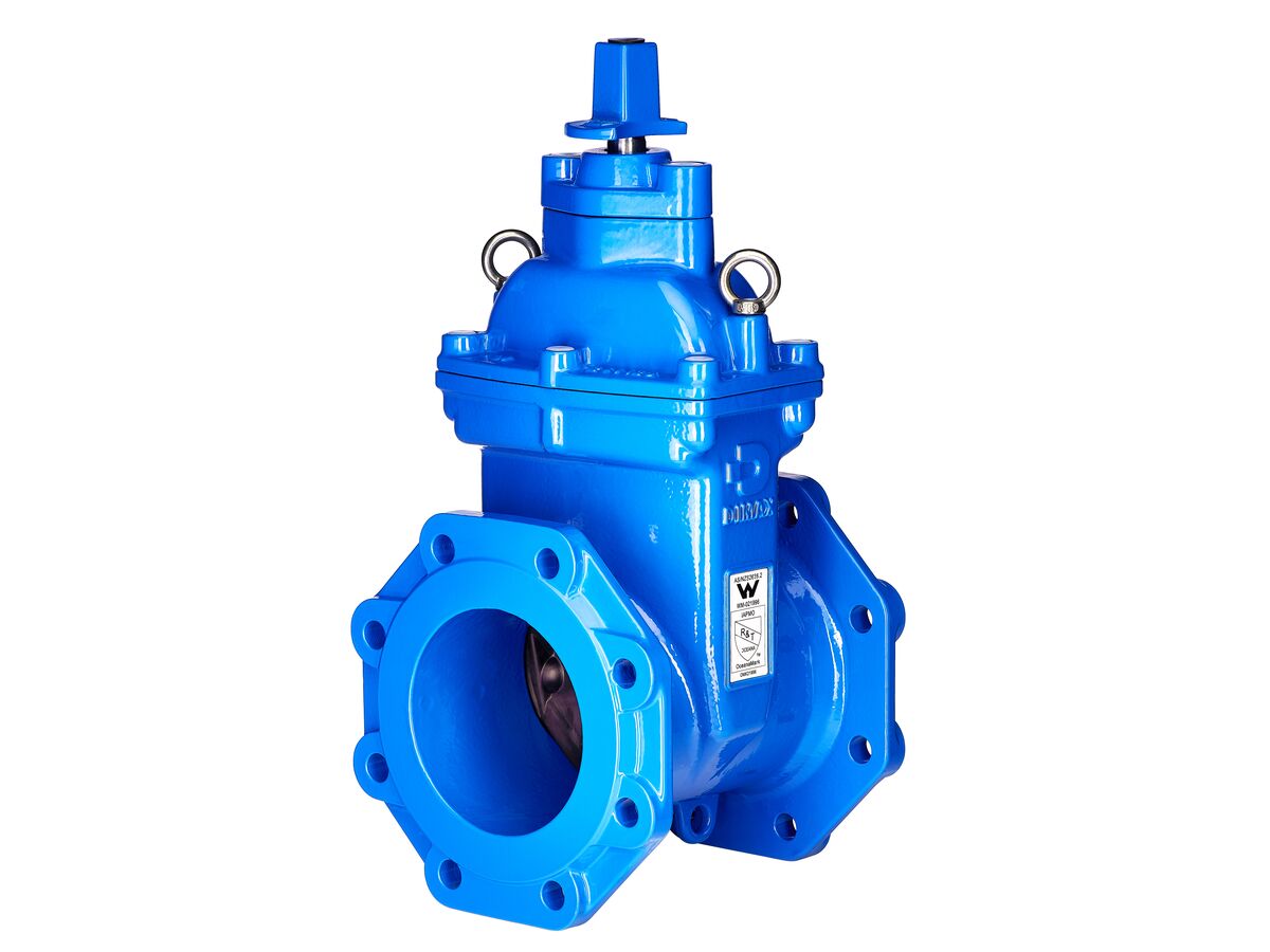 reece Dimax Resilient Seat Gate Valve (Flange x Flange) PN16 B5 150mm Anticlockwise Close