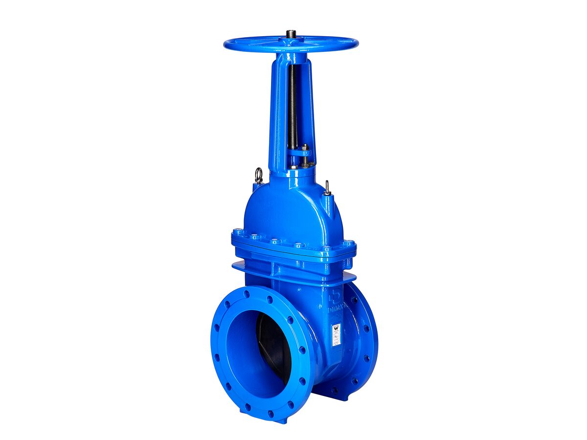 reece Dimax Reslient Seated Gate Valve OS&Y PN16 Table E 250mm Clockwise Close