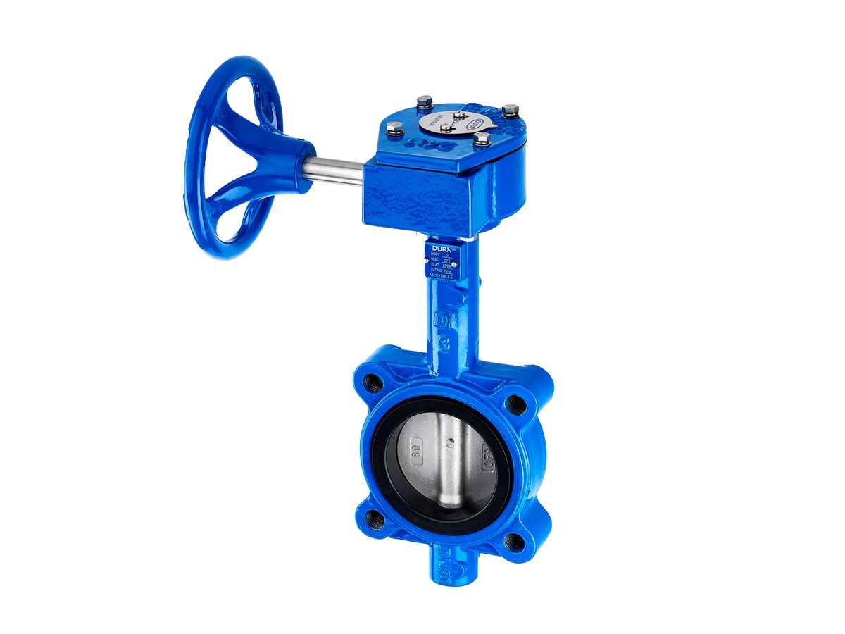 Reece Dura Industrial Non - Potable / Non - Drinking Water Butterfly Valve Lugged Table E With Gear Operated DN 50