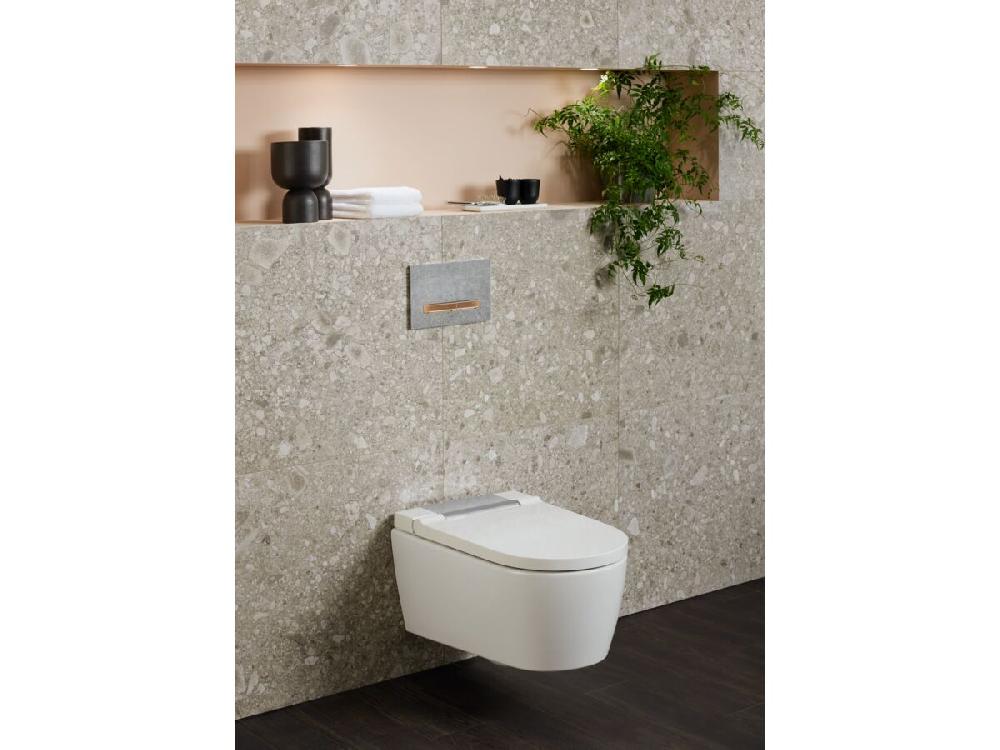 Reece Geberit Sigma50 Dual Flush Button Concrete Look/Red Gold