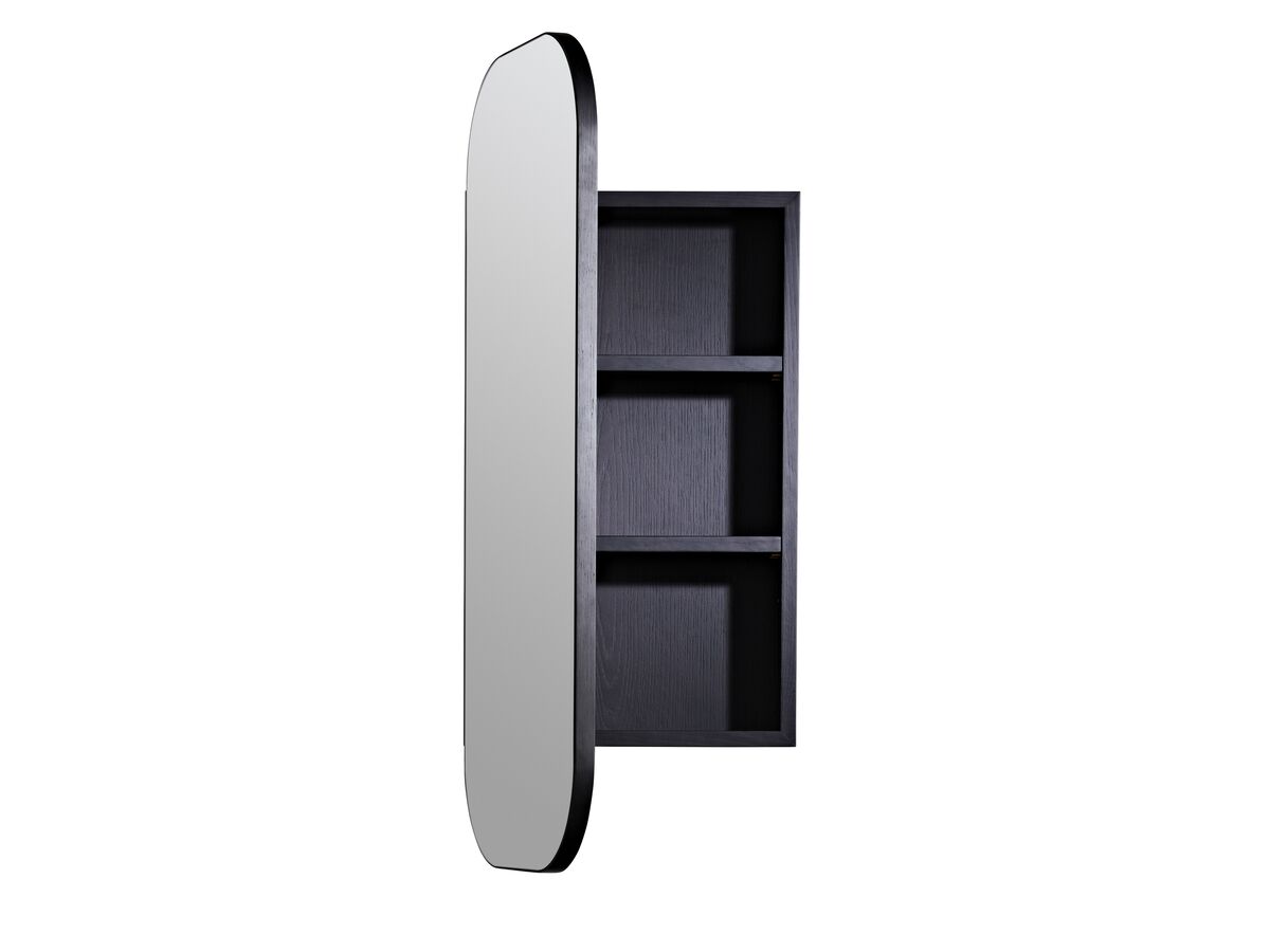 Reece ISSY Z1 325mm X 800mm Recessed Oval Mirror With Shaving Cabinet