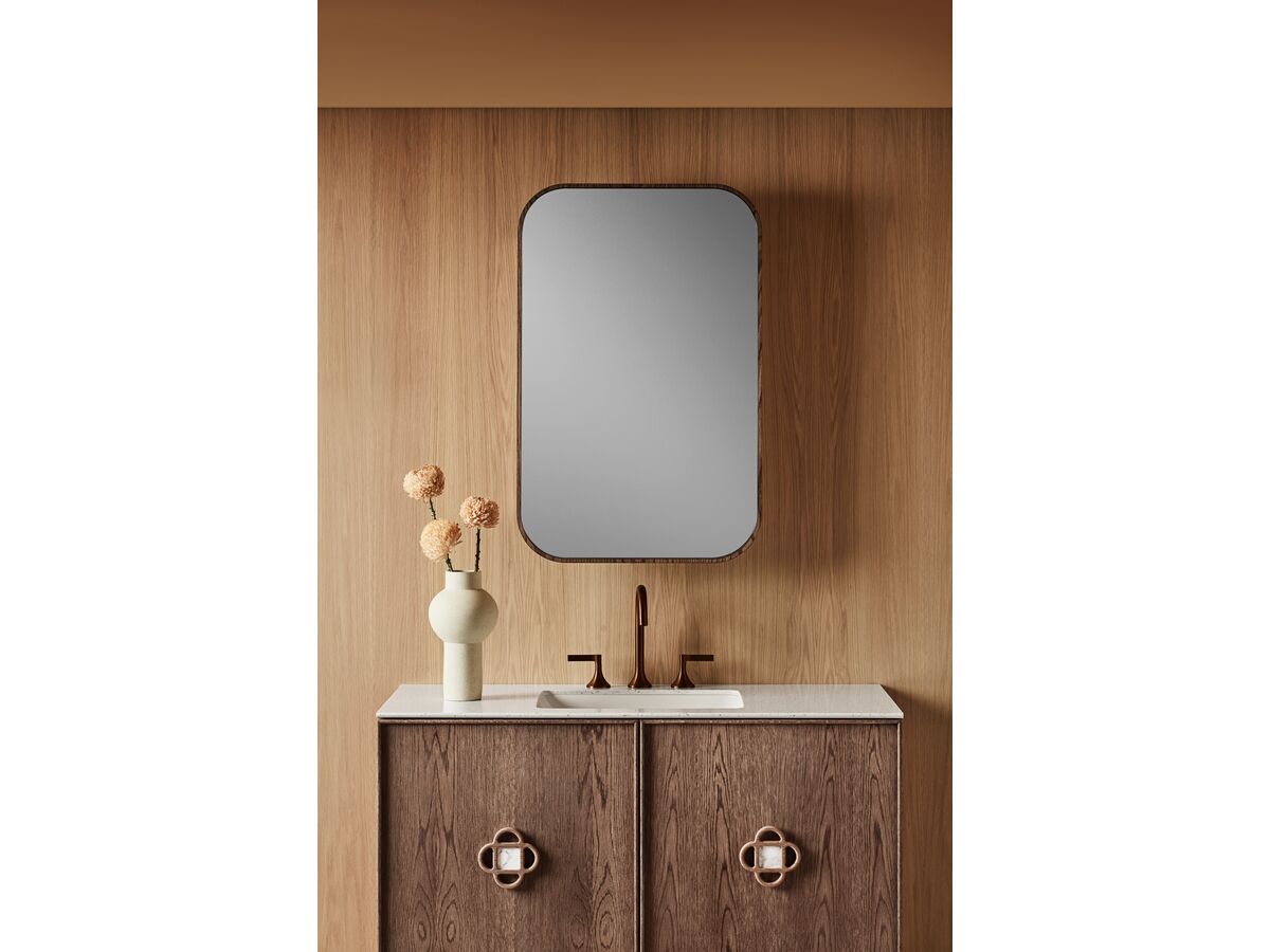 Reece ISSY Z1 401mm - 600mm X 1001mm - 1200mm Custom Oval Mirror With Shaving Cabinet
