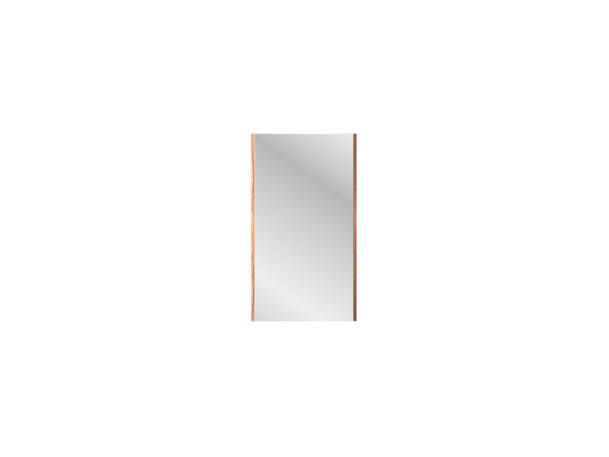 reece Kado Arc Shaving Cabinet 450mm x 800mm x 130mm 1 Door Red Tulip