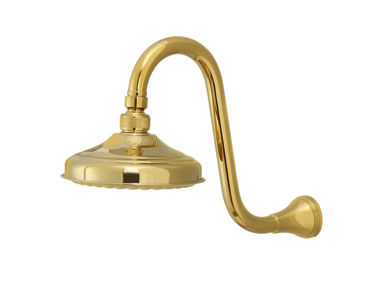 reece Kado Era Gooseneck Shower Arm & Rose 148mm Brass Gold (3 Star)