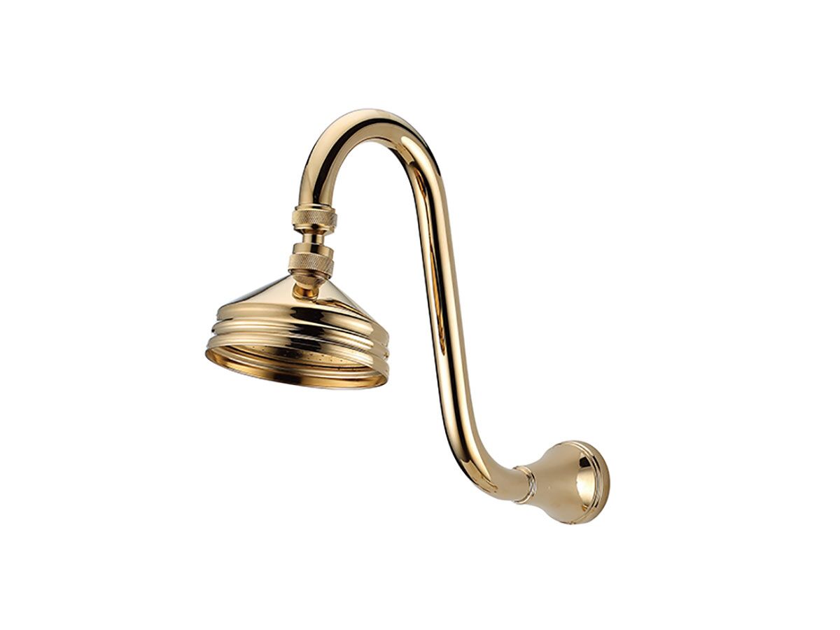 reece Kado Era Gooseneck Shower Arm & Rose Brass Gold (3 Star)