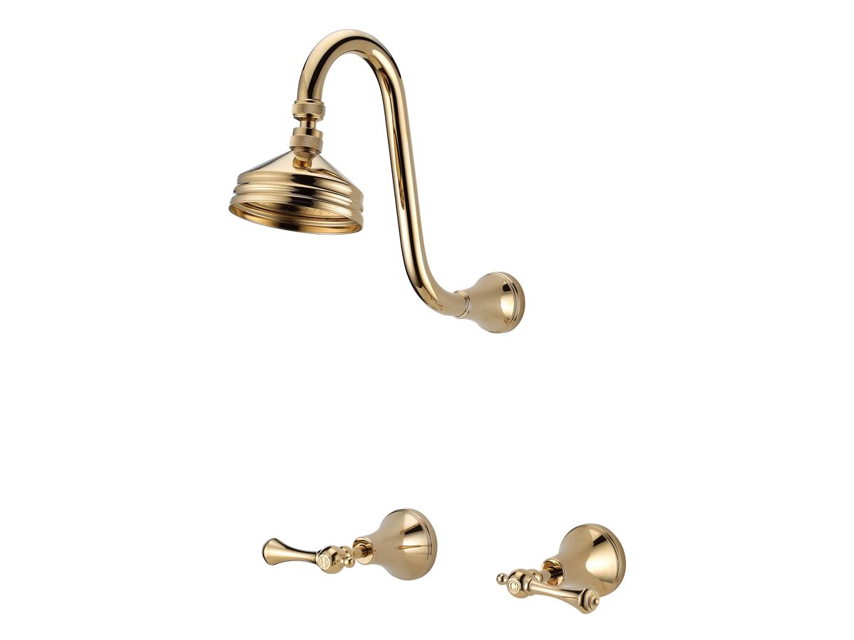 reece Kado Era Gooseneck Shower Set Lever Handle Brass Gold (3 Star)