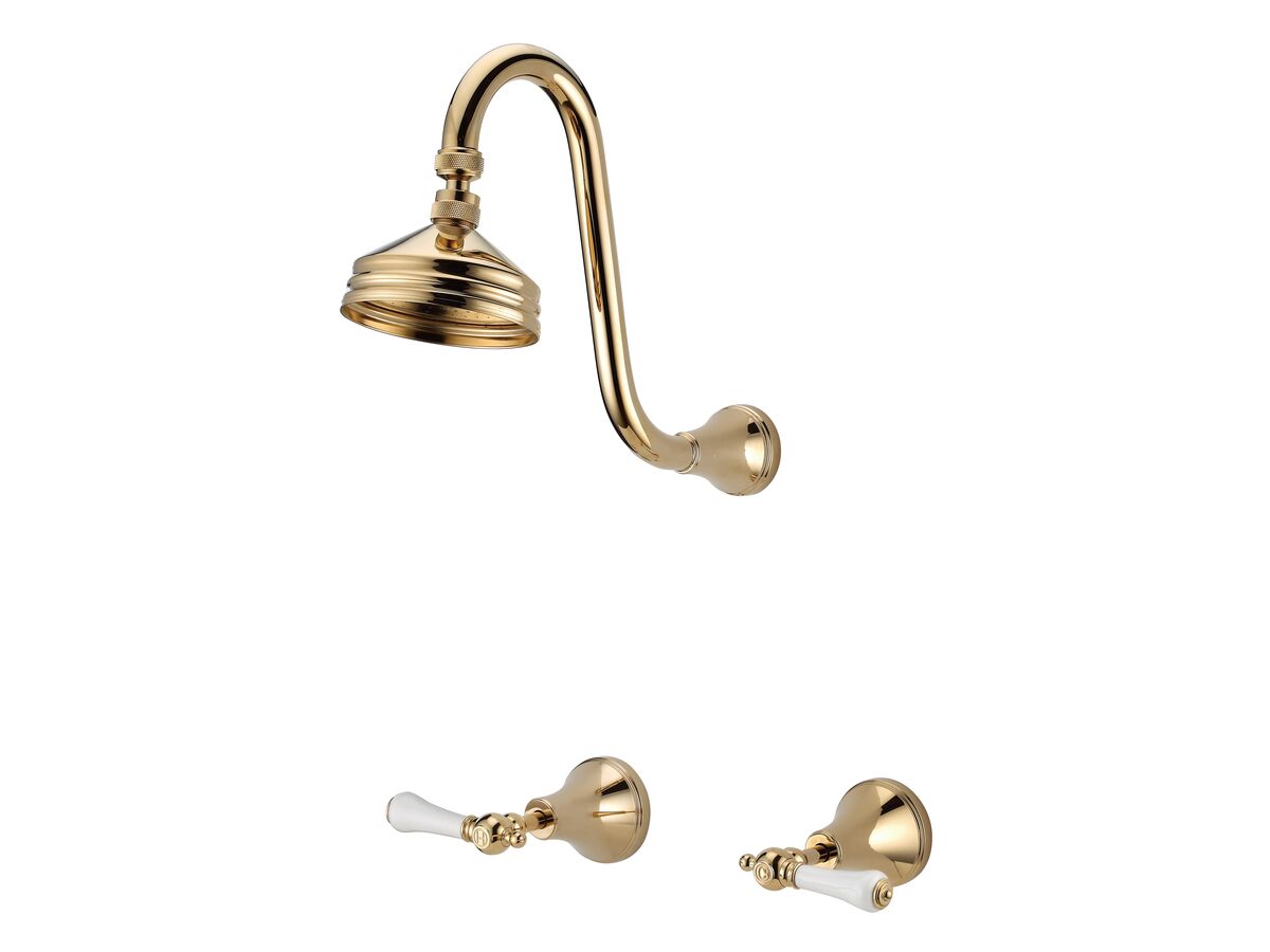 reece Kado Era Gooseneck Shower Set Lever Porcelain Handle Brass Gold (3 Star)