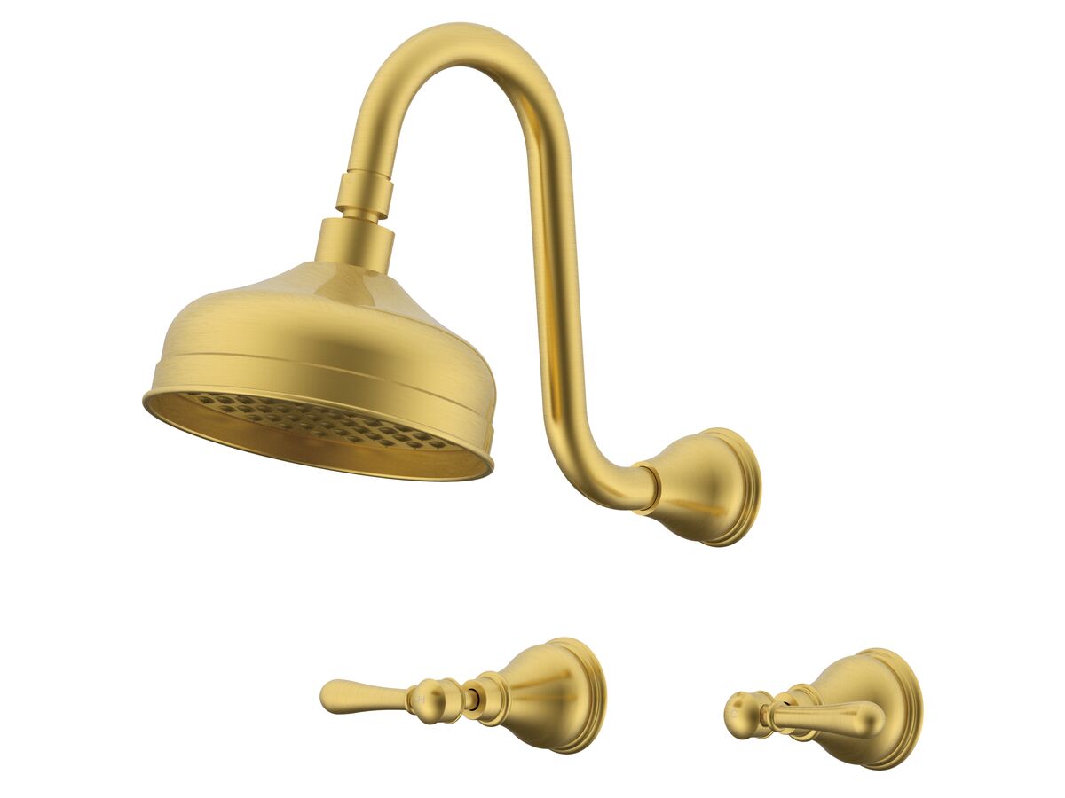 reece Milli Monument Edit Gooseneck Shower Set Lever Brushed Gold (3 Star)