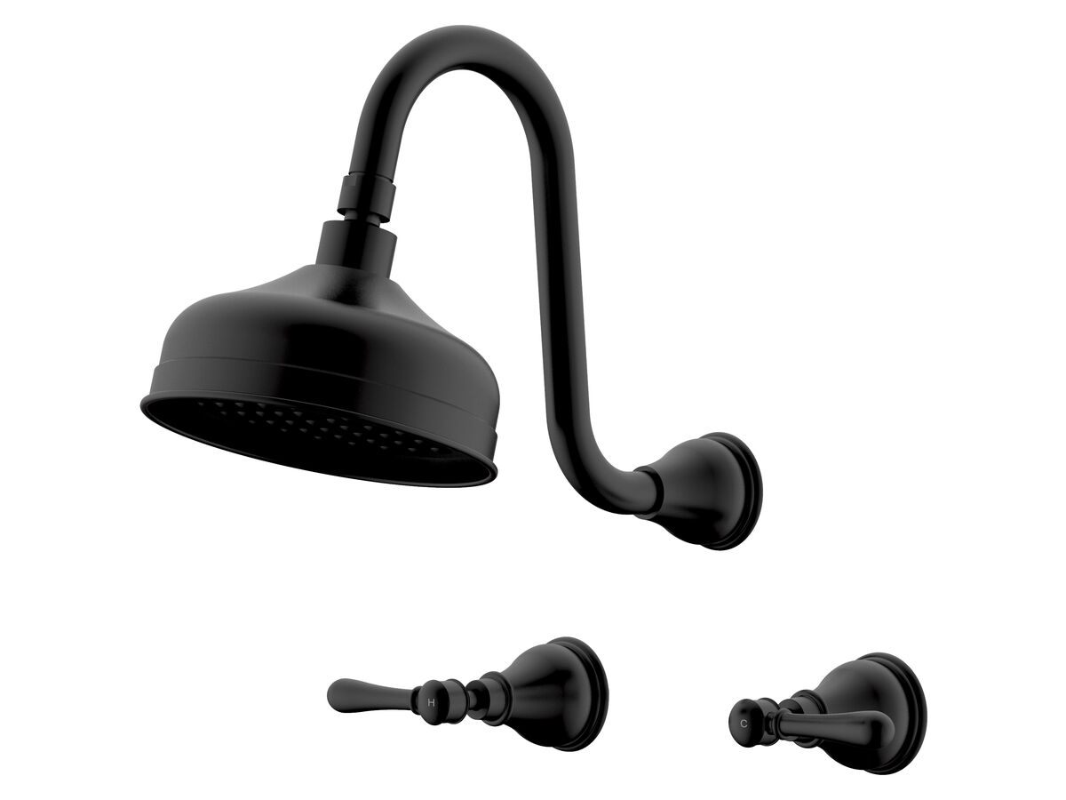 reece Milli Monument Edit Gooseneck Shower Set Lever Handles Matte Black (3 Star)