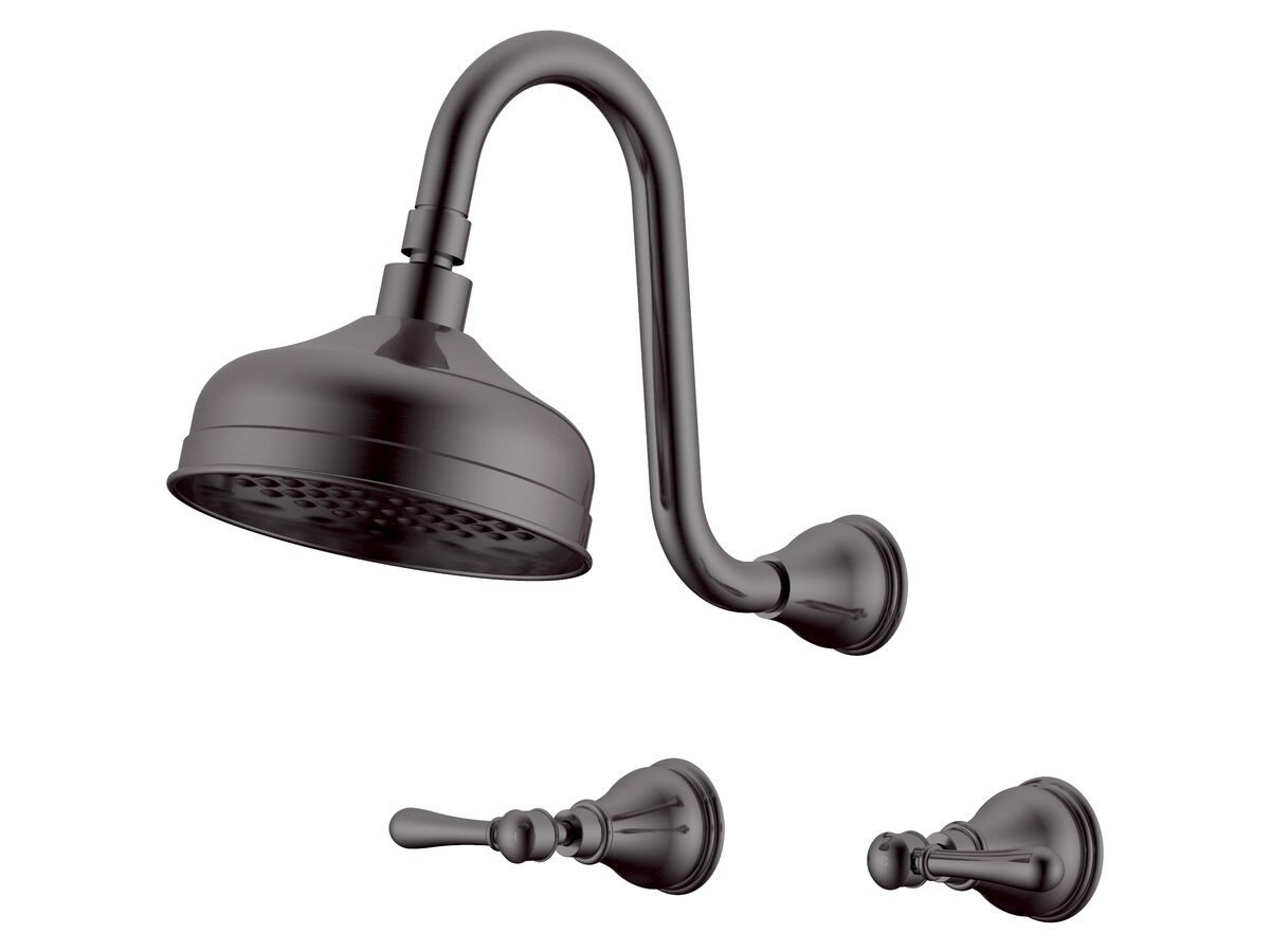 reece Milli Monument Edit Gooseneck Shower Set Lever Handles Brushed Gunmetal (3 Star)