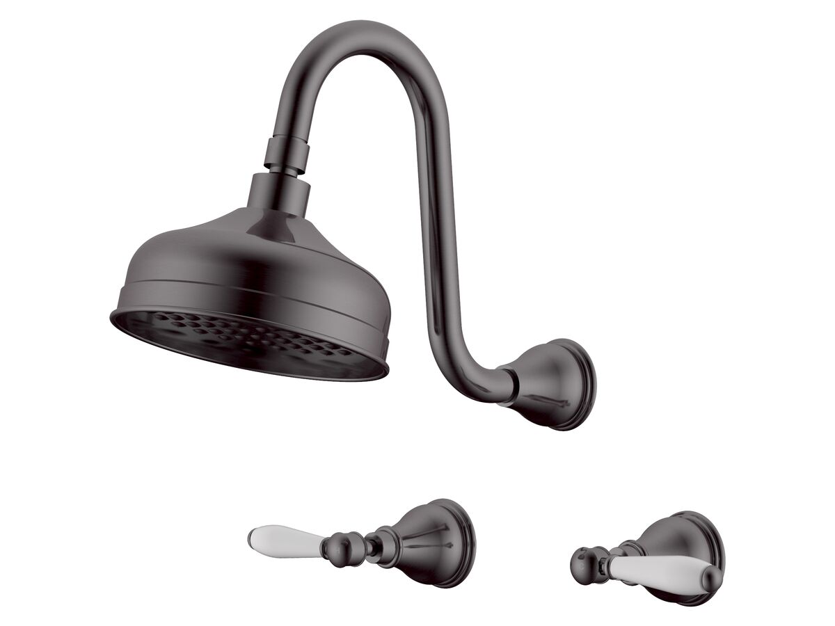 reece Milli Monument Edit Gooseneck Shower Set Lever Porcelain Handles Brushed Gunmetal (3 Star)