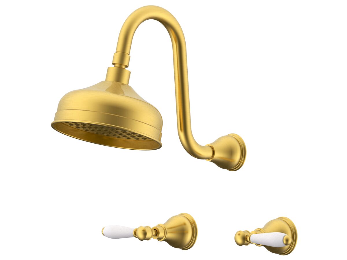 reece Milli Monument Edit Gooseneck Shower Set Lever Porcelain Handles Brushed Gold (3 Star)