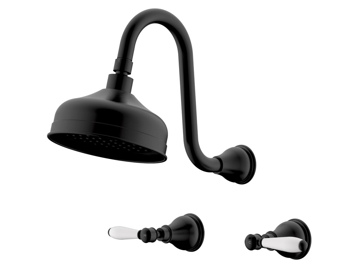 reece Milli Monument Edit Gooseneck Shower Set Lever Porcelain Handles Matte Black (3 Star)