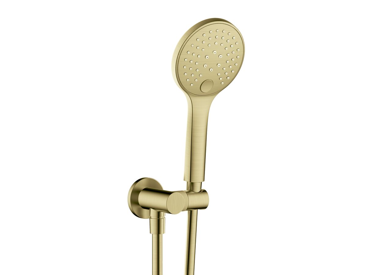 Reece Mizu Drift Handshower On Bracket Brushed Brass (3 Star)
