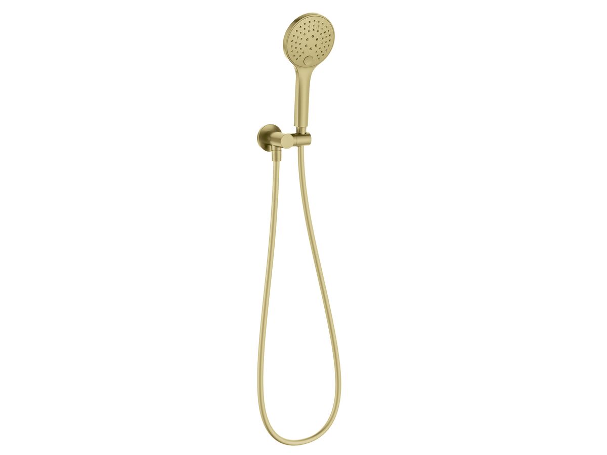 reece Mizu Drift Handshower on Bracket Brushed Brass (3 Star)