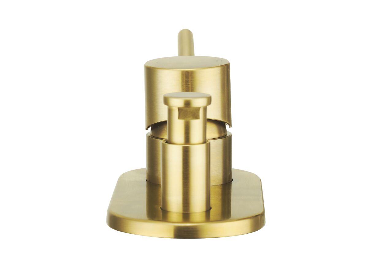 Reece Mizu Drift MK2 Shower Mixer Kit With Diverter Brushed Brass