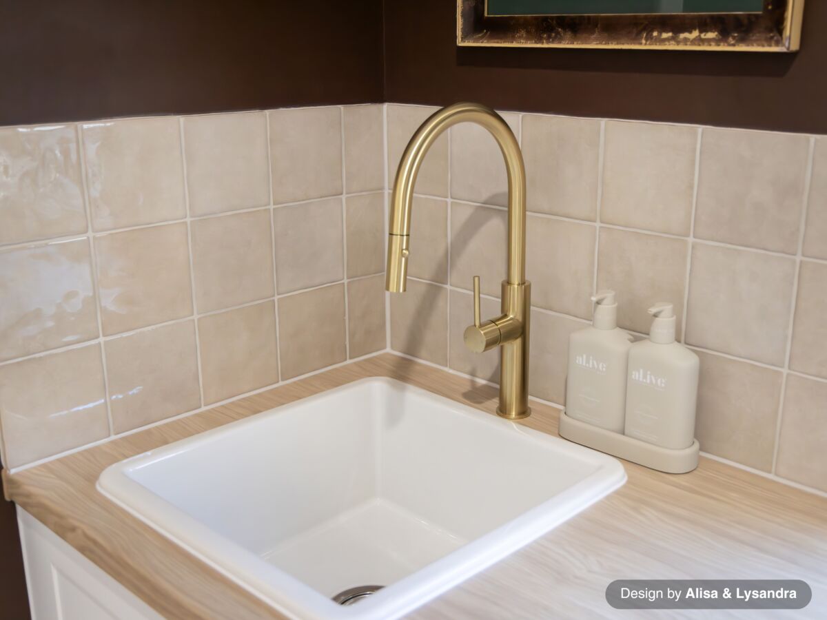 Reece Mizu Drift Pull Out Gooseneck Sink Mixer Curve 2 Function Brushed Brass (5 Star) Lead Free