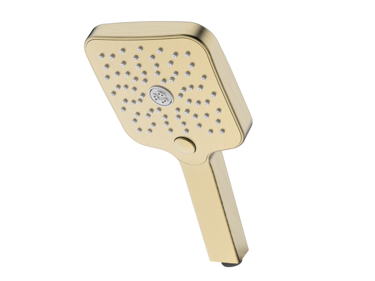 reece Mizu Soothe Handpiece Only 3 Function Brushed Brass (5 Star)