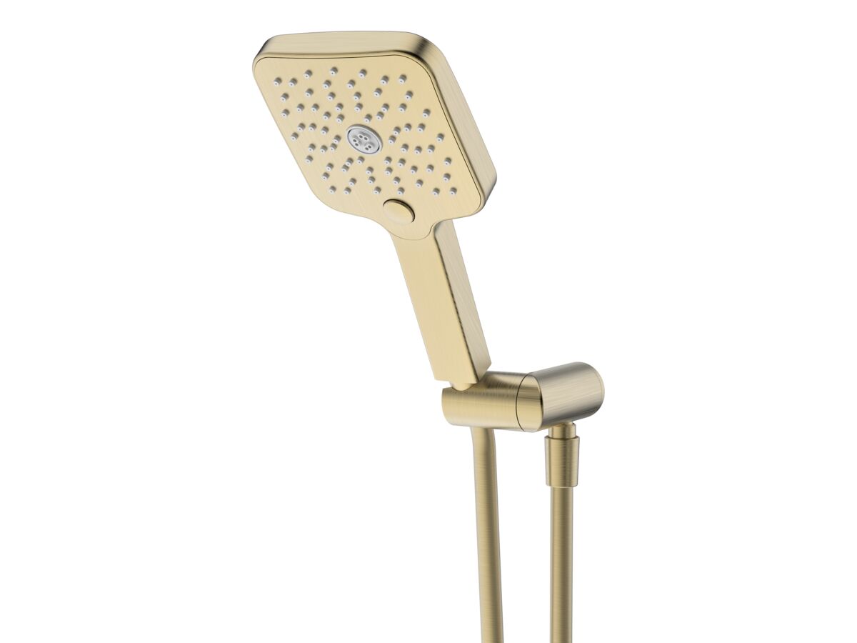 reece Mizu Soothe Handshower with Water Inlet Wall Bracket Brushed Brass (5 Star)