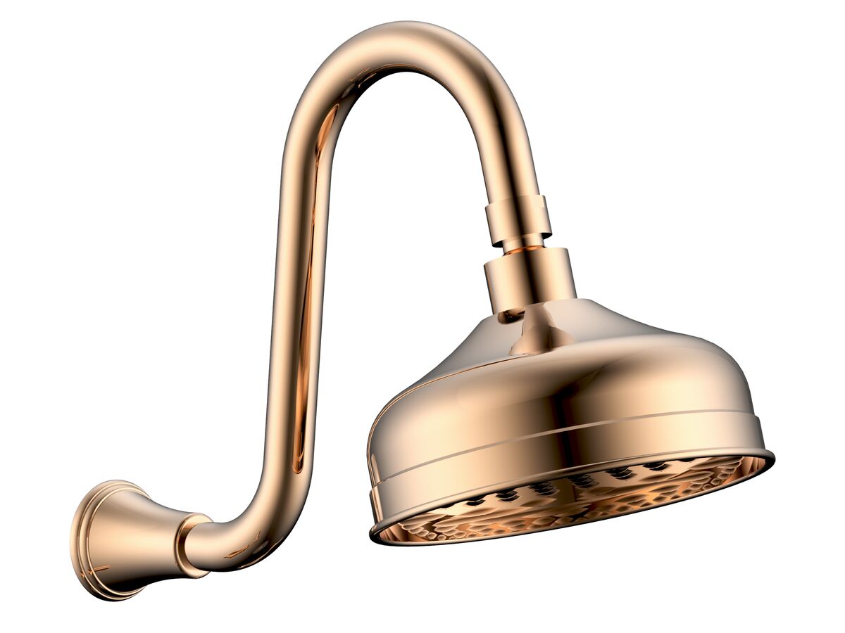 reece Posh Canterbury Gooseneck Shower Arm & Rose Polished Brass Gold (3 Star)