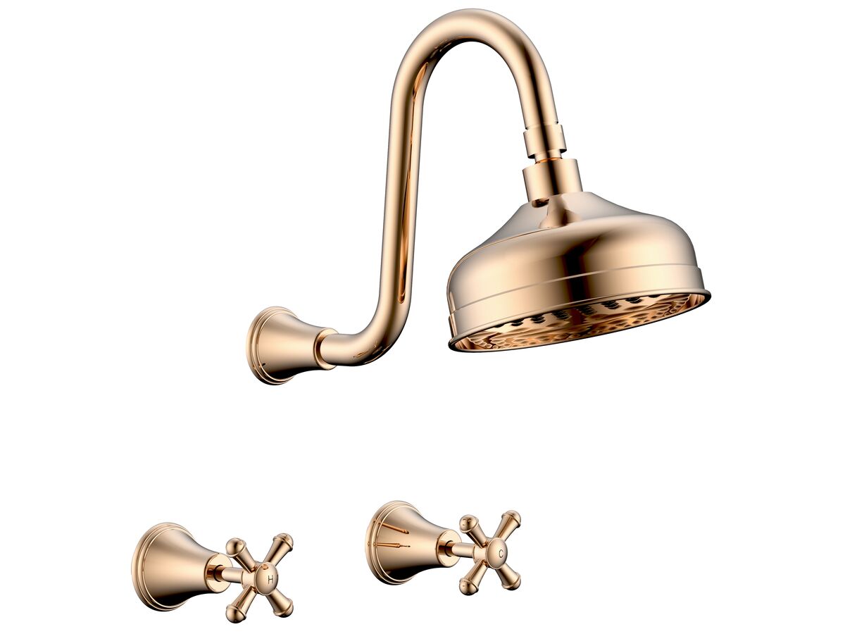 reece Posh Canterbury Gooseneck Shower Set Cross Handles Polished Brass Gold (3 Star)