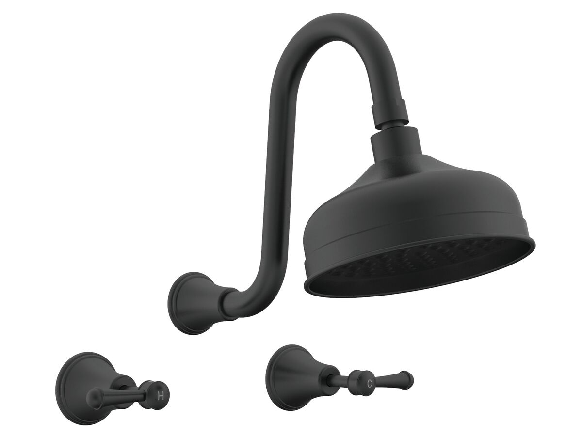 reece Posh Canterbury Gooseneck Shower Set Lever Handles Matte Black (3 Star)