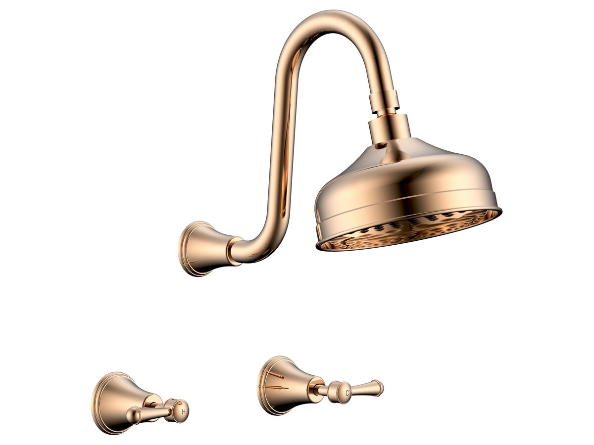 reece Posh Canterbury Gooseneck Shower Set Lever Handles Polished Brass Gold (3 Star)
