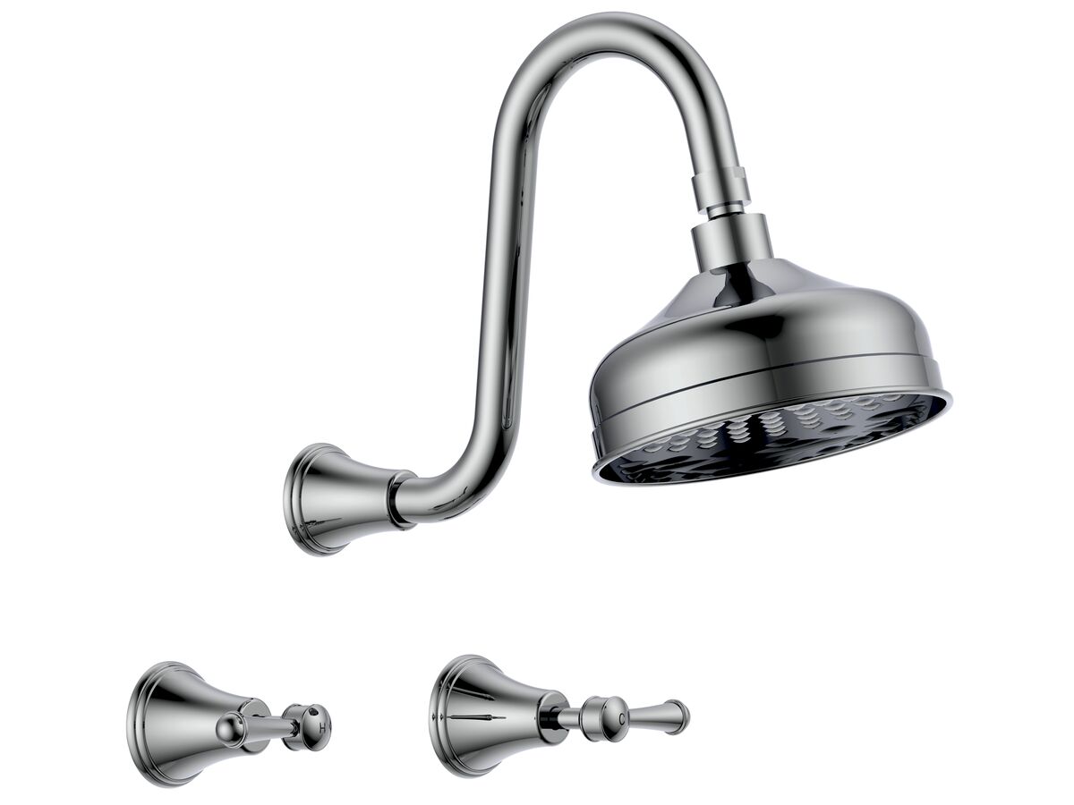 reece Posh Canterbury Gooseneck Shower Set Lever Handles Chrome (3 Star)