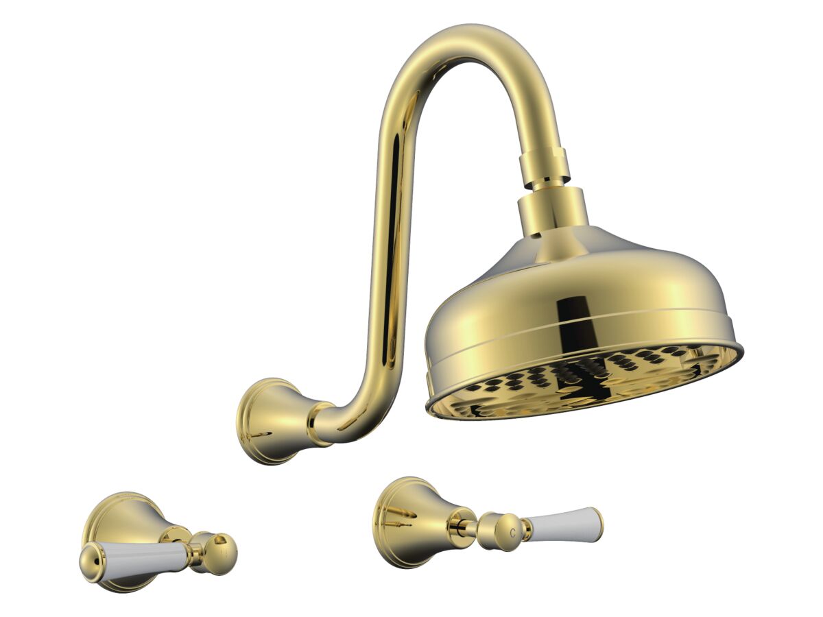 reece Posh Canterbury Gooseneck Shower Set Lever Porcelain Handles Polished Brass Gold (3 Star)
