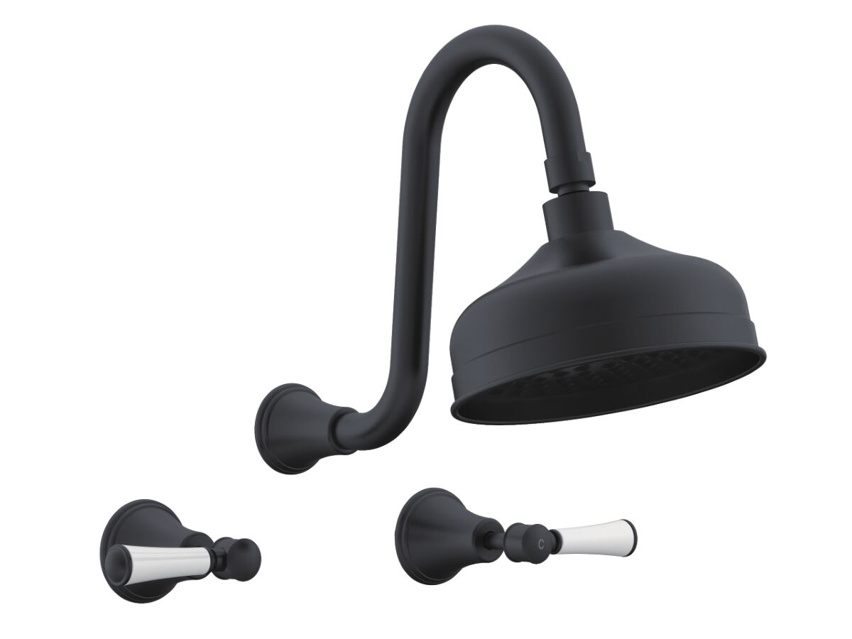 reece Posh Canterbury Gooseneck Shower Set Lever Porcelain Handles Matte Black (3 Star)