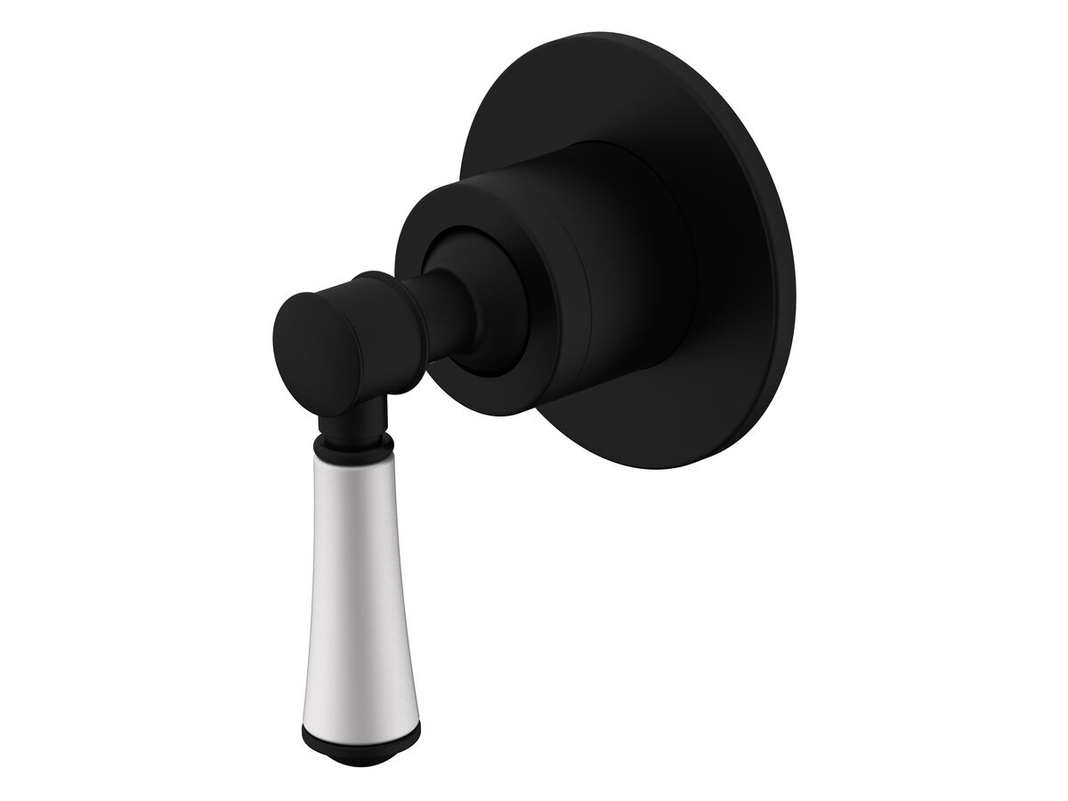 reece Posh Canterbury Shower Mixer with Porcelain Handle and Small Cover Plate Matte Black