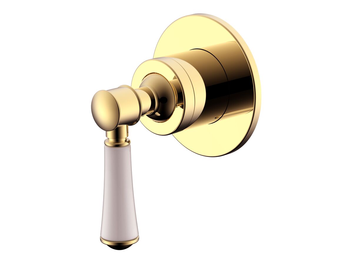 reece Posh Canterbury Shower Mixer with Porcelain Handle and Small Cover Plate Polished Brass Gold