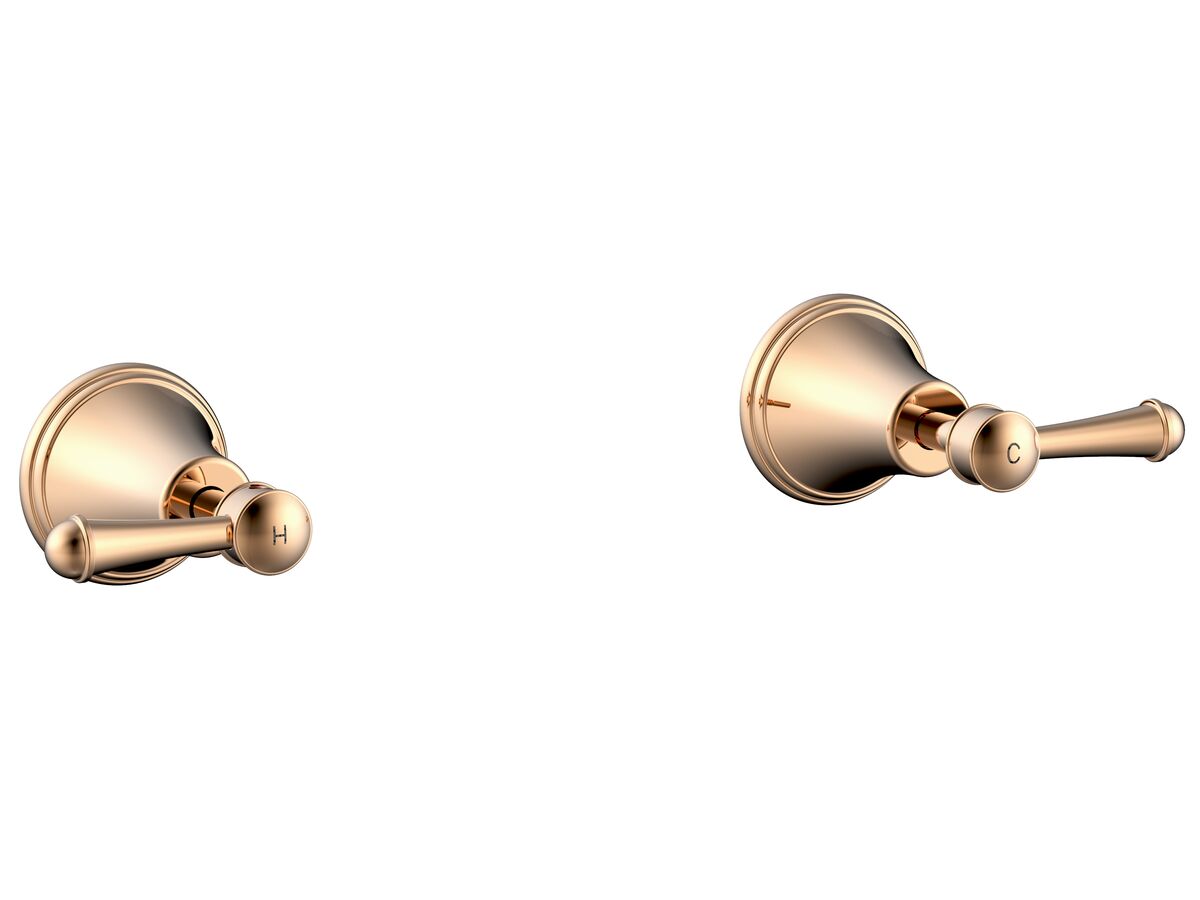 reece Posh Canterbury Wall Top Assemblies Lever Polished Brass Gold