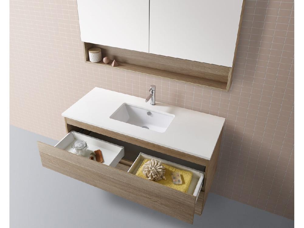 Reece Posh Domaine Plus 600mm X 1000mm Shaving Cabinet Open Shelf 2 Door