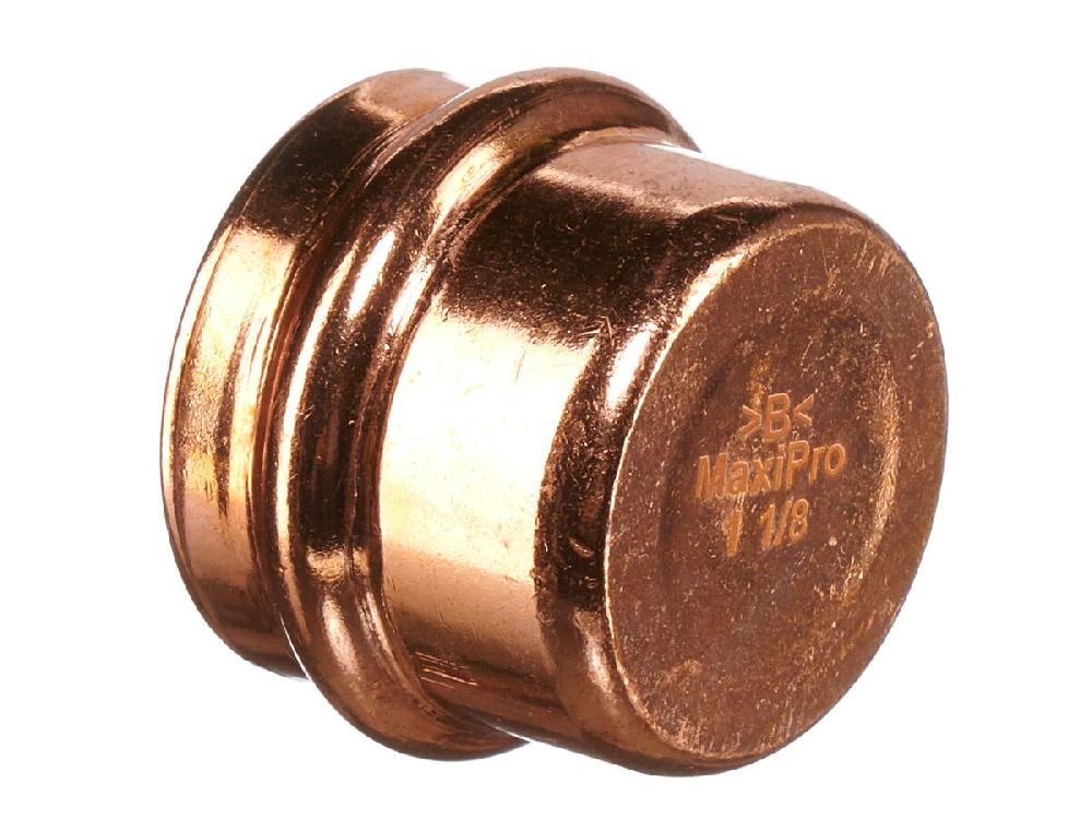 Reece B-MaxiPro Stop End 1 1/8" (Bag Of 1)