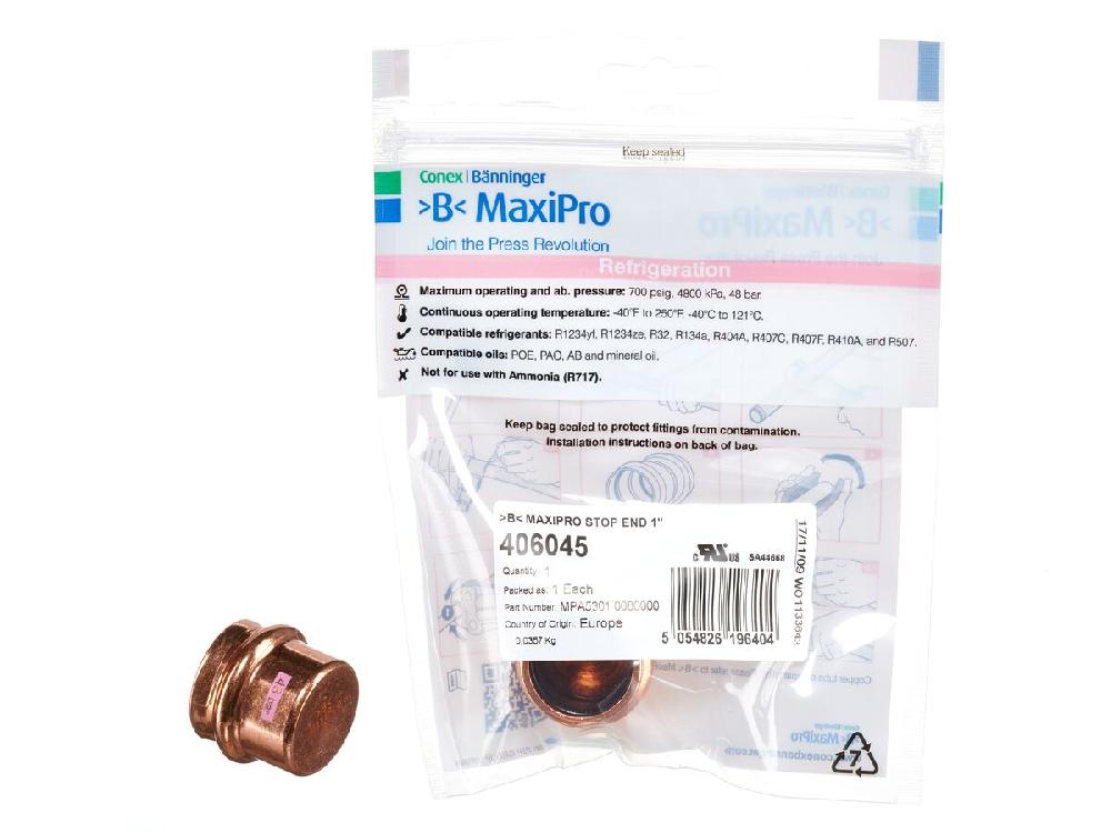 Reece B-MaxiPro Stop End 1" (Bag Of 1)