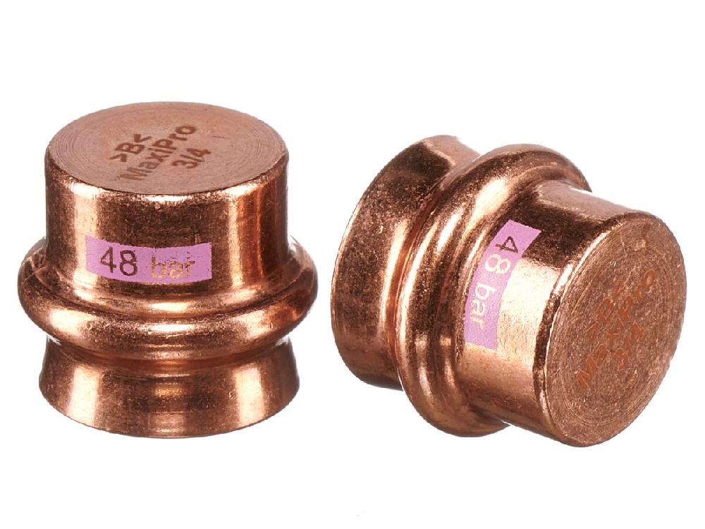 Reece B-MaxiPro Stop End 3/4" (Bag Of 2)